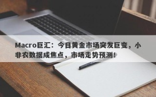 Macro巨汇：今日黄金市场突发巨变，小非农数据成焦点，市场走势预测！