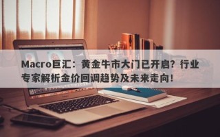 Macro巨汇：黄金牛市大门已开启？行业专家解析金价回调趋势及未来走向！