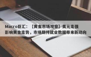 Macro巨汇：【黄金市场观察】美元走强影响黄金走势，市场期待就业数据带来新动向