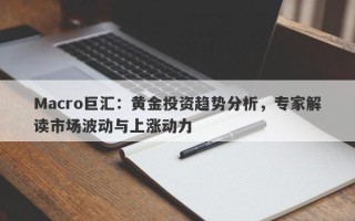 Macro巨汇：黄金投资趋势分析，专家解读市场波动与上涨动力