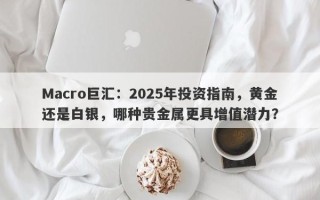 Macro巨汇：2025年投资指南，黄金还是白银，哪种贵金属更具增值潜力？