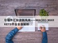 引领外汇投资新风尚——MACRO MARKETS平台全面解析