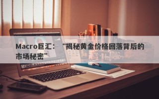 Macro巨汇：“揭秘黄金价格回落背后的市场秘密”