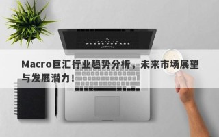 Macro巨汇行业趋势分析，未来市场展望与发展潜力！