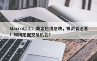 Macro巨汇：黄金短线急跌，投资者必看！如何把握交易机会？