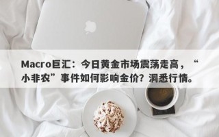 Macro巨汇：今日黄金市场震荡走高，“小非农”事件如何影响金价？洞悉行情。