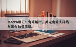 Macro巨汇：专家解析，美元走势支撑线与黄金前景展望。