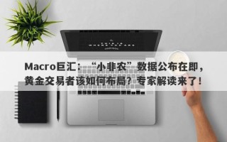 Macro巨汇：“小非农”数据公布在即，黄金交易者该如何布局？专家解读来了！