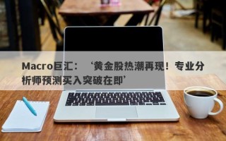 Macro巨汇：‘黄金股热潮再现！专业分析师预测买入突破在即’