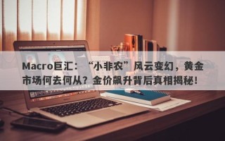 Macro巨汇：“小非农”风云变幻，黄金市场何去何从？金价飙升背后真相揭秘！