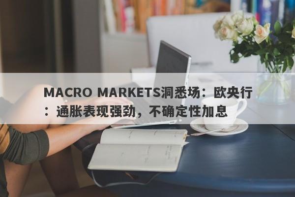 MACRO MARKETS洞悉场：欧央行：通胀表现强劲，不确定性加息-第1张图片-Macro Markets巨汇