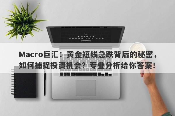 Macro巨汇：黄金短线急跌背后的秘密，如何捕捉投资机会？专业分析给你答案！-第1张图片-Macro Markets巨汇