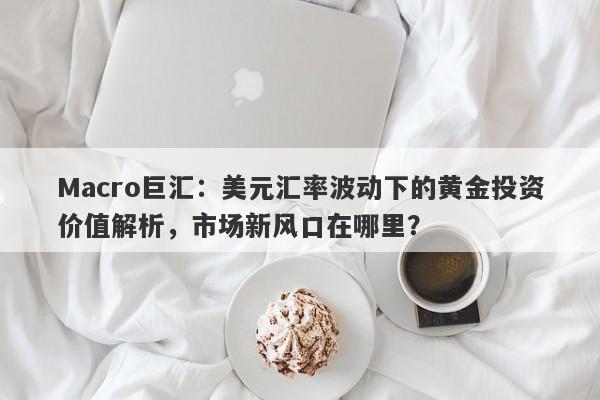 Macro巨汇：美元汇率波动下的黄金投资价值解析，市场新风口在哪里？-第1张图片-Macro Markets巨汇