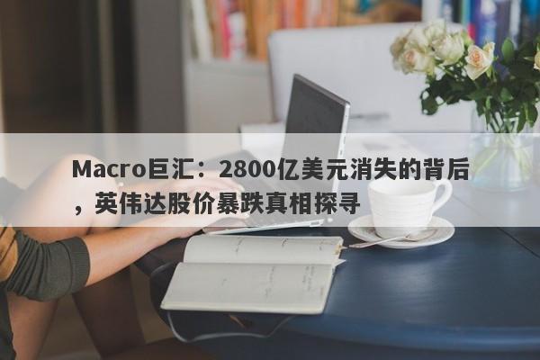 Macro巨汇：2800亿美元消失的背后，英伟达股价暴跌真相探寻-第1张图片-Macro Markets巨汇