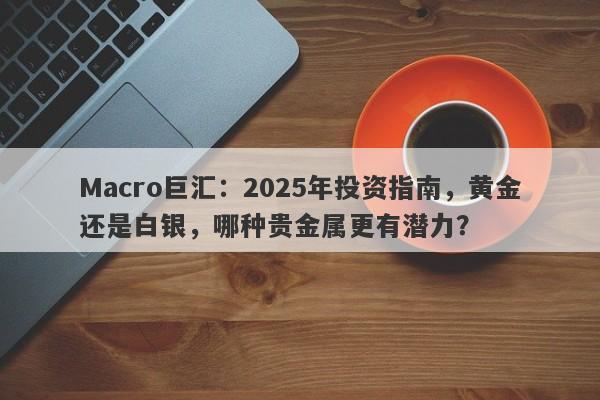 Macro巨汇：2025年投资指南，黄金还是白银，哪种贵金属更有潜力？-第1张图片-Macro Markets巨汇