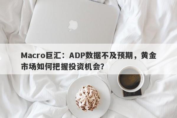 Macro巨汇：ADP数据不及预期，黄金市场如何把握投资机会？-第1张图片-Macro Markets巨汇