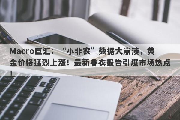 Macro巨汇：“小非农”数据大崩溃，黄金价格猛烈上涨！最新非农报告引爆市场热点！-第1张图片-Macro Markets巨汇