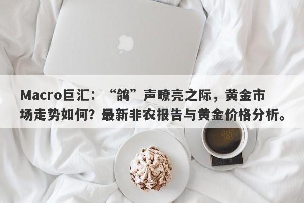 Macro巨汇：“鸽”声嘹亮之际，黄金市场走势如何？最新非农报告与黄金价格分析。-第1张图片-Macro Markets巨汇