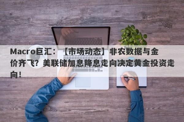 Macro巨汇：【市场动态】非农数据与金价齐飞？美联储加息降息走向决定黄金投资走向！-第1张图片-Macro Markets巨汇