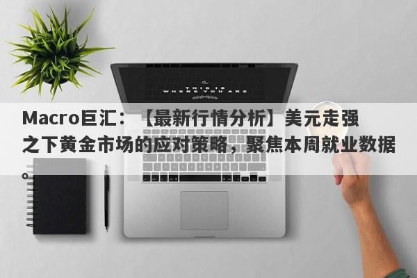 Macro巨汇：【最新行情分析】美元走强之下黄金市场的应对策略，聚焦本周就业数据。-第1张图片-Macro Markets巨汇